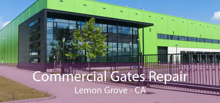 Commercial Gates Repair Lemon Grove - CA