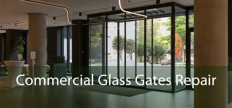 Commercial Glass Gates Repair 