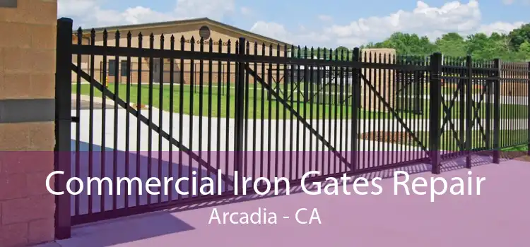 Commercial Iron Gates Repair Arcadia - CA