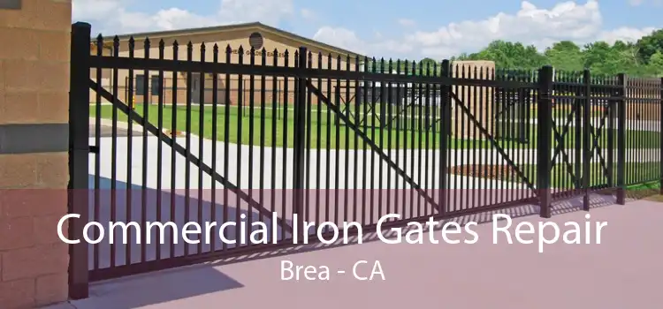 Commercial Iron Gates Repair Brea - CA