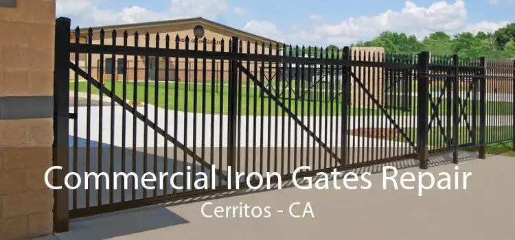 Commercial Iron Gates Repair Cerritos - CA