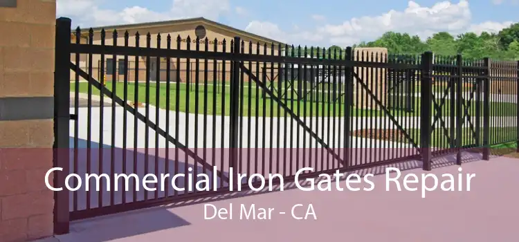 Commercial Iron Gates Repair Del Mar - CA