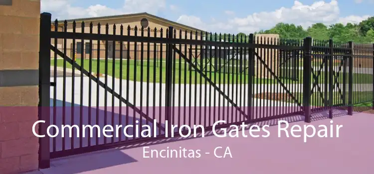 Commercial Iron Gates Repair Encinitas - CA