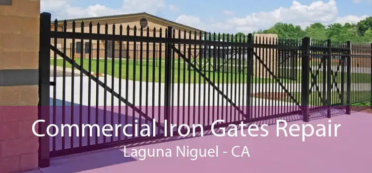 Commercial Iron Gates Repair Laguna Niguel - CA