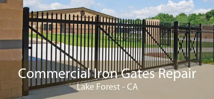 Commercial Iron Gates Repair Lake Forest - CA