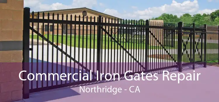 Commercial Iron Gates Repair Northridge - CA