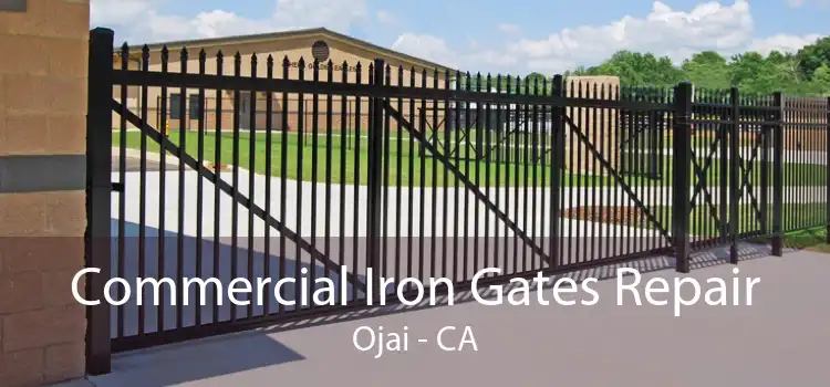 Commercial Iron Gates Repair Ojai - CA