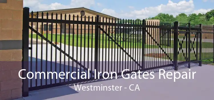 Commercial Iron Gates Repair Westminster - CA