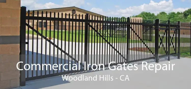 Commercial Iron Gates Repair Woodland Hills - CA