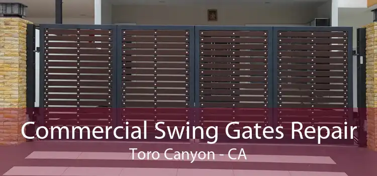 Commercial Swing Gates Repair Toro Canyon - CA